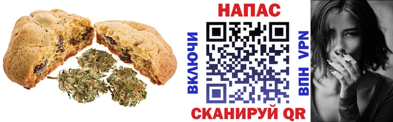 продажа наркотиков  Чадан  omg tor  Еда ТГК конопля 