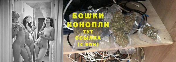 спиды Арсеньев