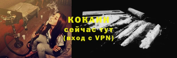 спиды Арсеньев