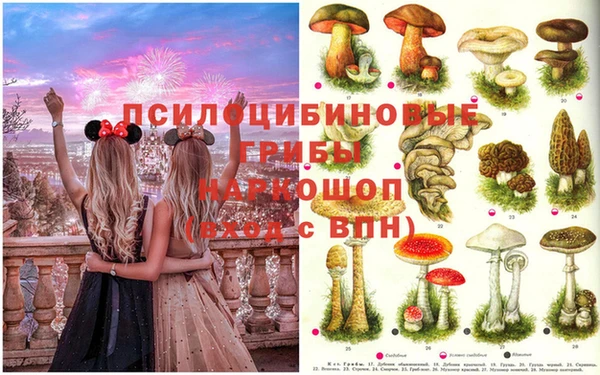 а пвп мука Армянск