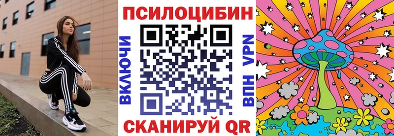 Псилоцибиновые грибы Cubensis  Чадан 